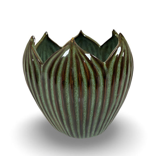 POT CORDATE MOSS M