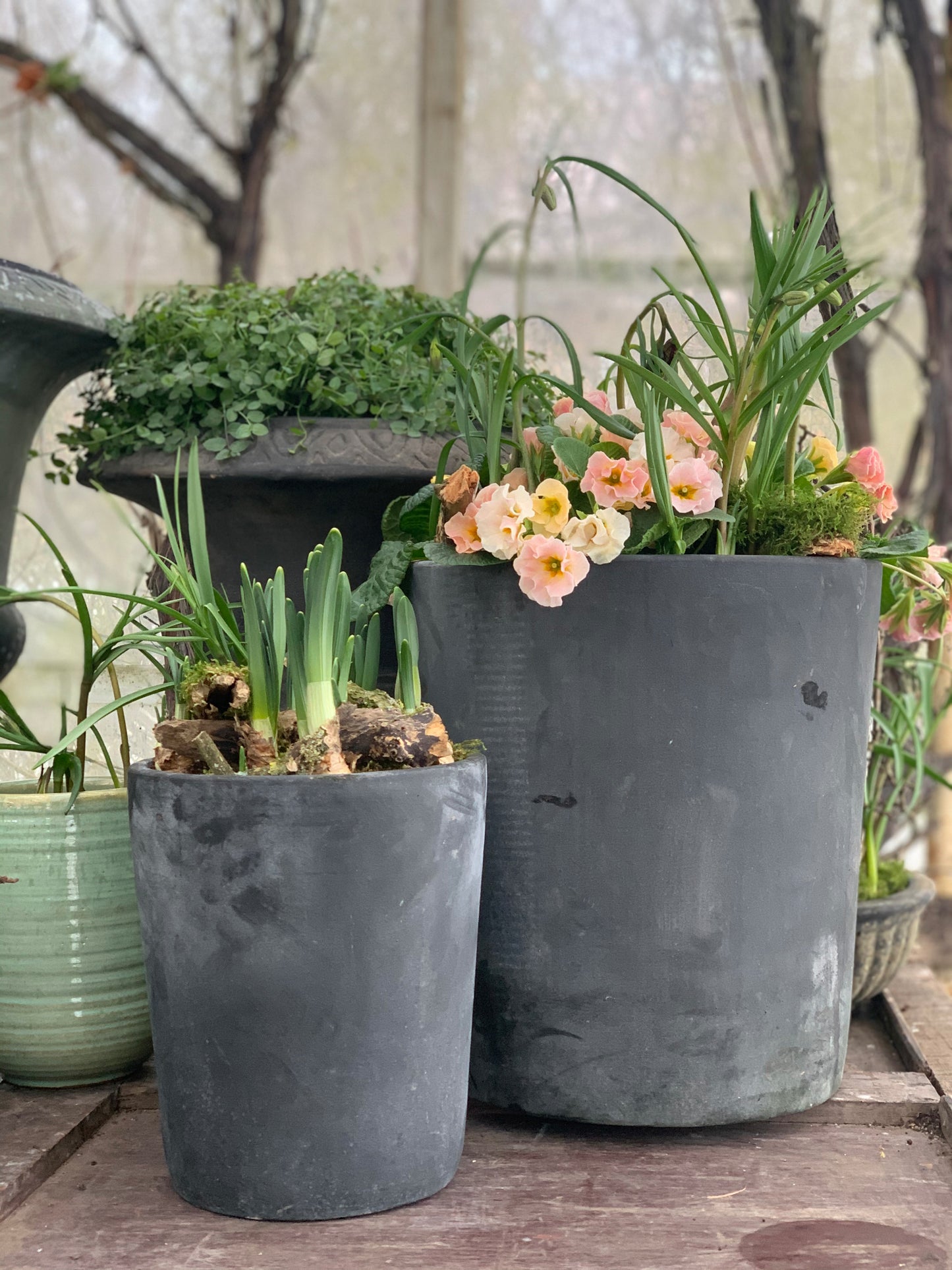 VIBEKE - CHOKO PATINA - TVÆR STÆRÐIR.