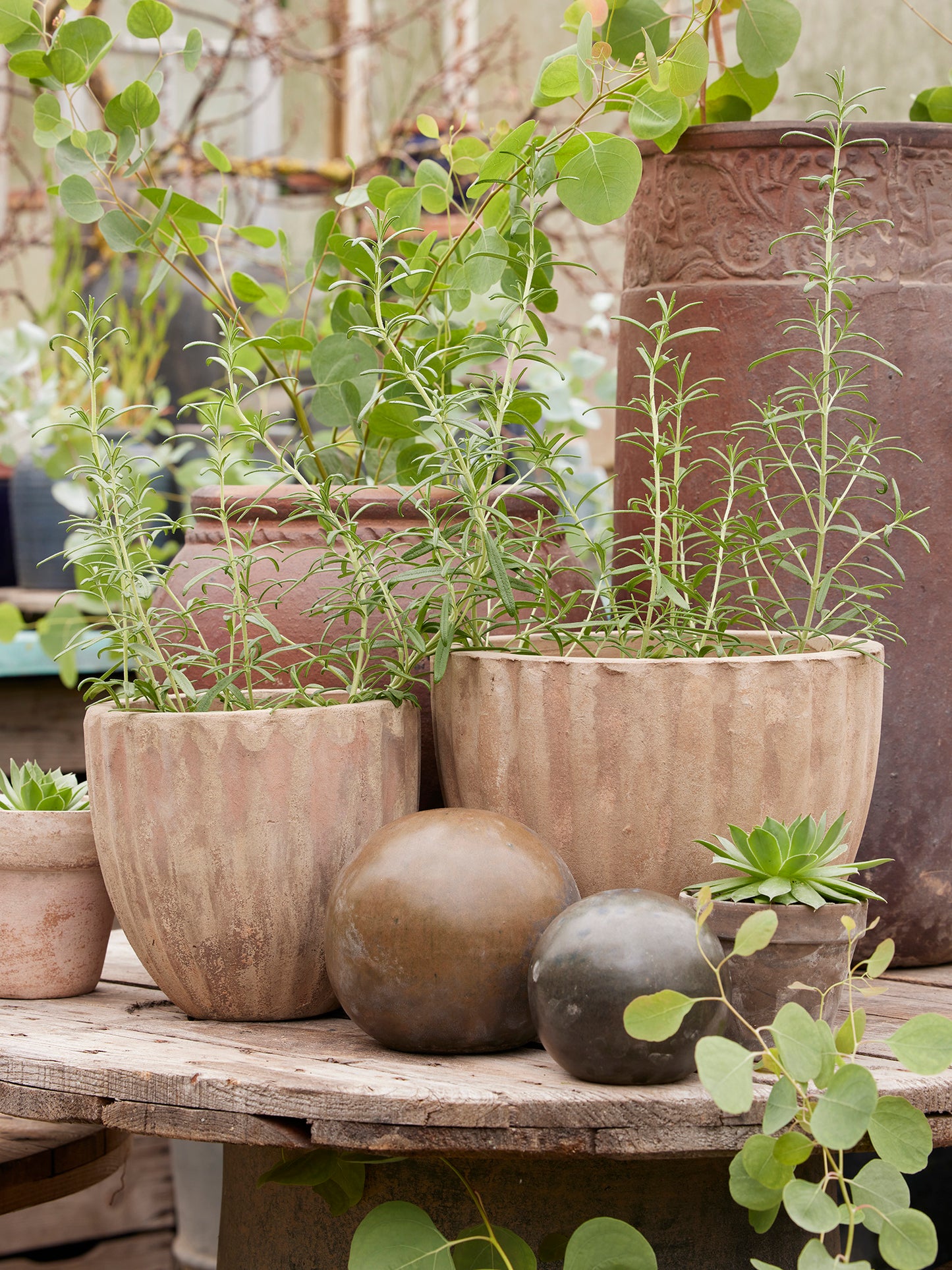 BEATRICE - ANTIQUE - 3 STÆRÐIR.