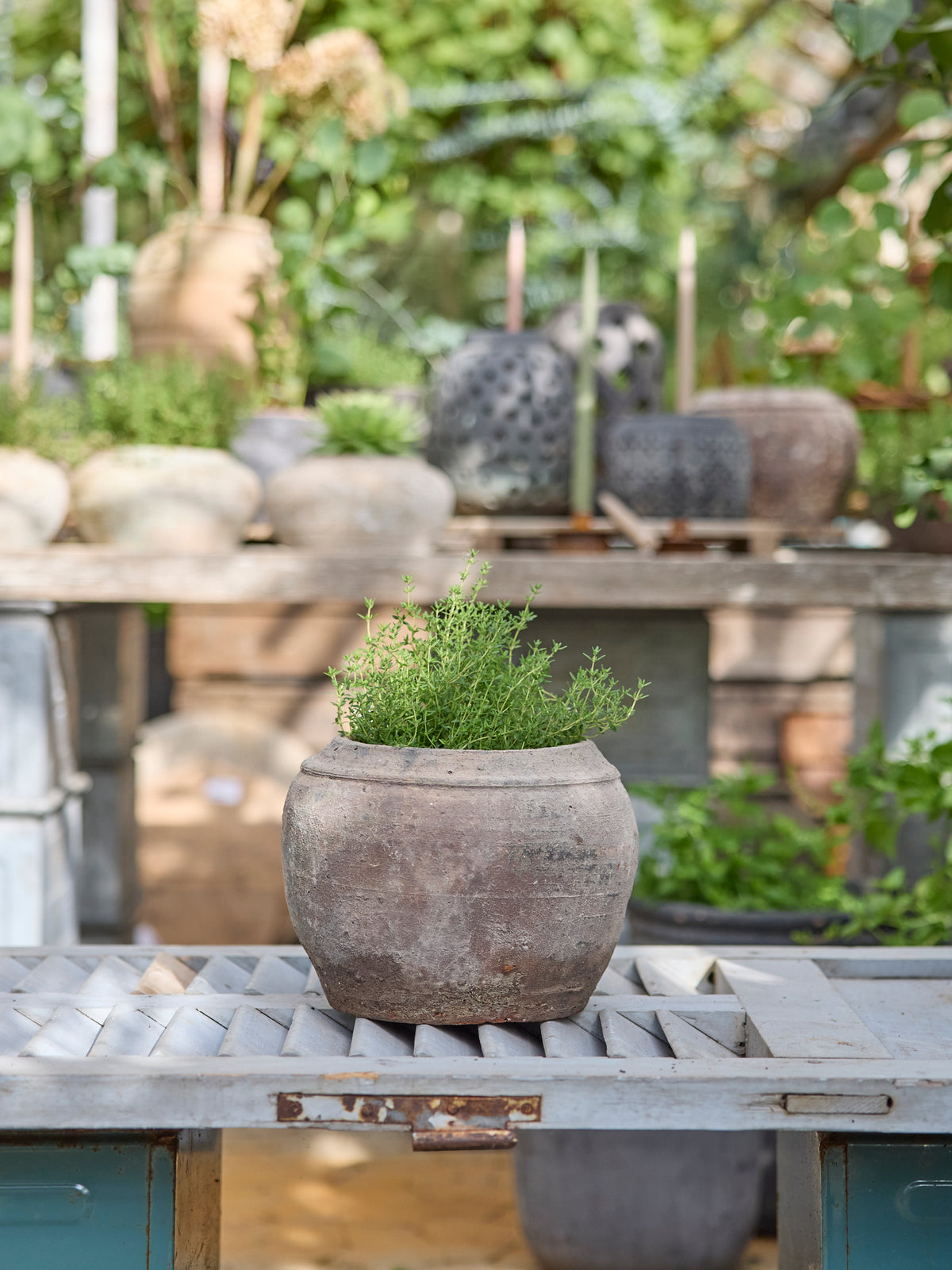 Francesce 24x18 cm