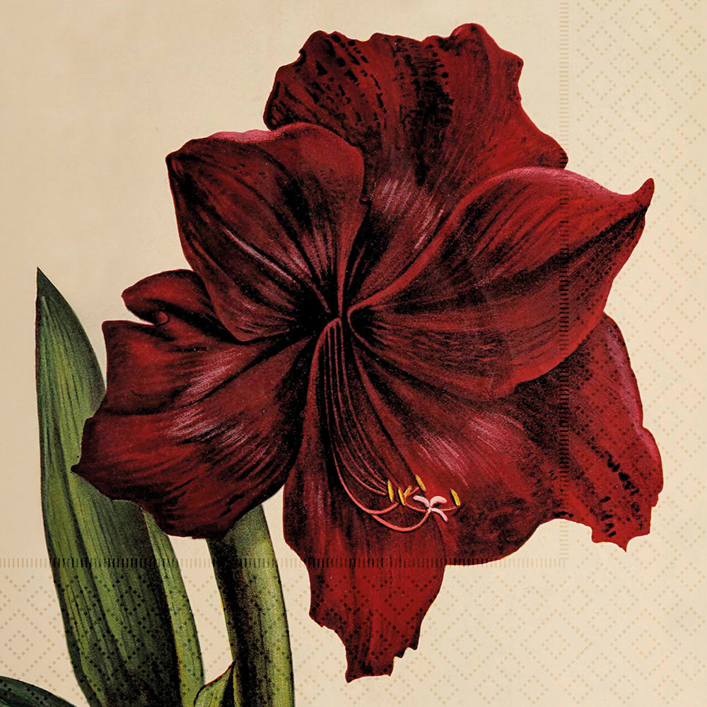 Servíettur 20 stk. 33x33 cm - Amaryllis.