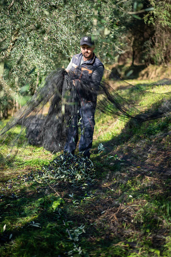 Made by mama - Einstök útgáfa af Extra virgin ólífuolíu - II IL PRIMO 500 ml.
