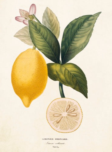 Lemon card