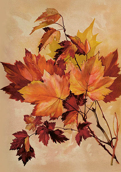 Autumn leaves card