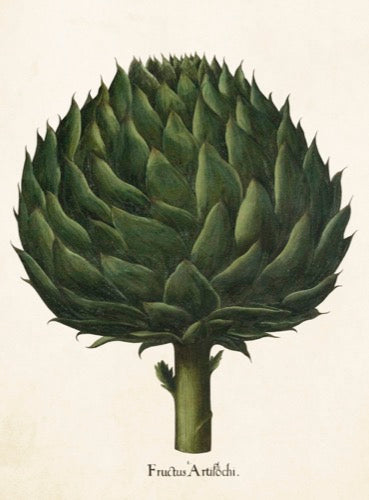 Artichoke card.