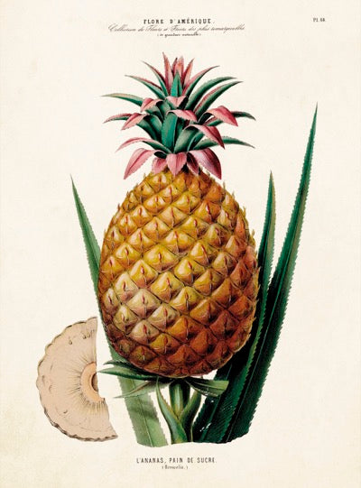 Ananas card