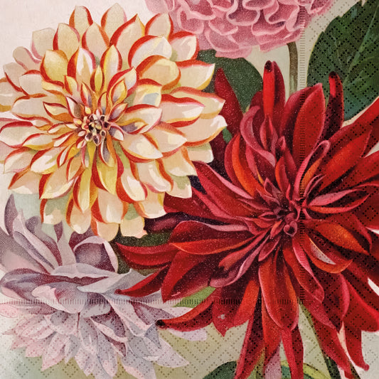 Dalia servíettur 33x33 cm.