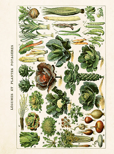 Vegetables card
