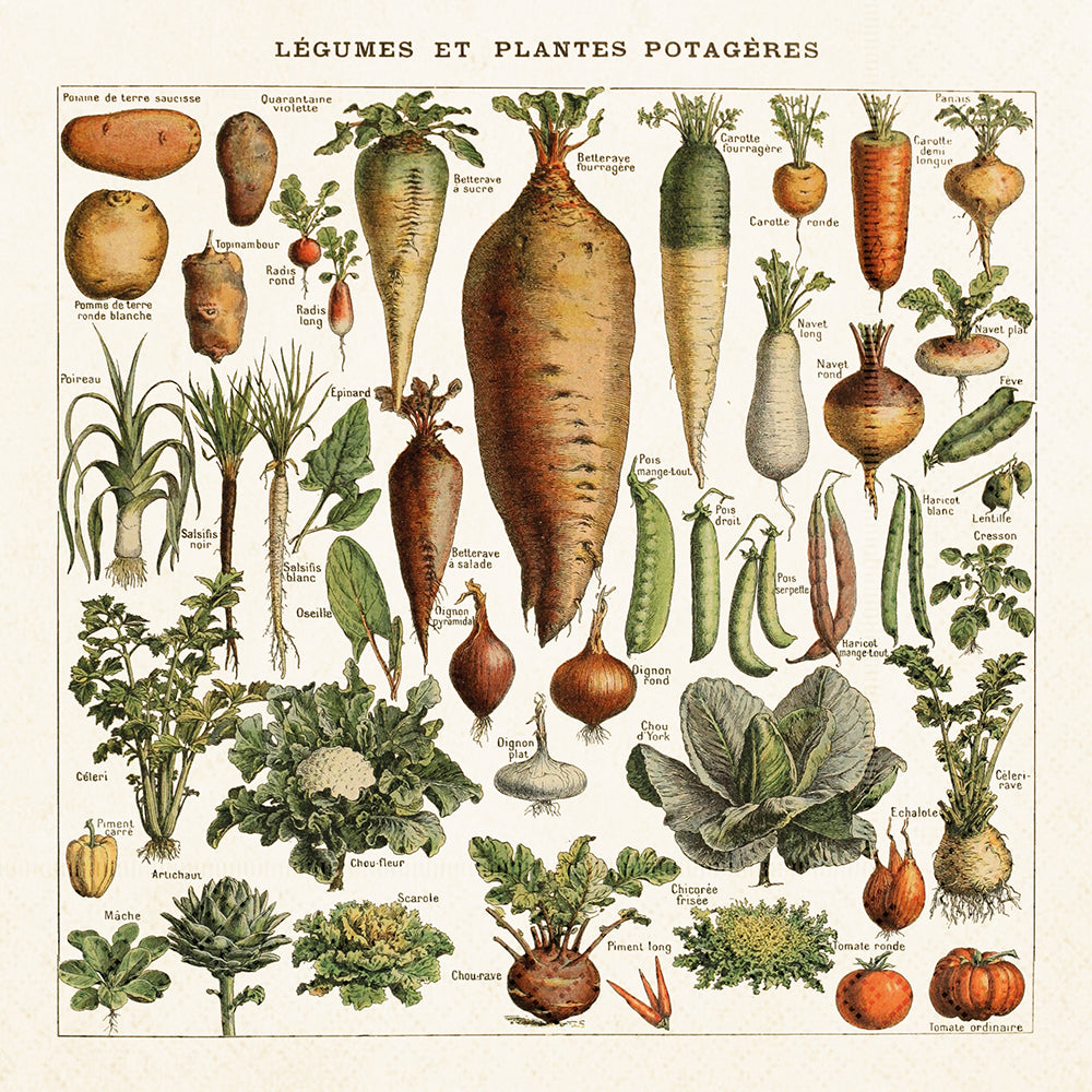 Servíettur 20 stk. 33x33 cm. Vegetables.