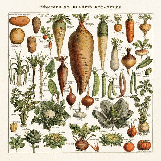 Servíettur 20 stk. 33x33 cm. Vegetables.