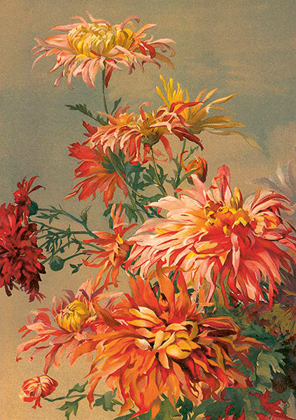 Dhalias card