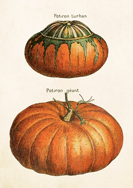 Pumpkins card