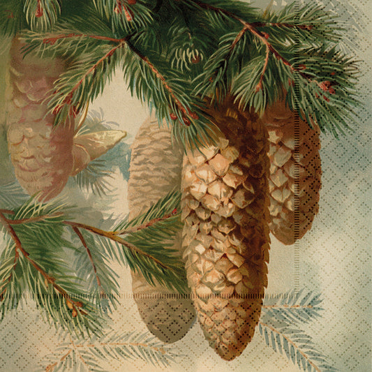 Servíettur 20 stk - 33x33 cm - Fir cones.